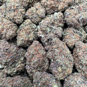 3 PACK BUNDLE - Mendo Breath