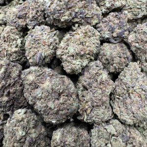 3 PACK BUNDLE - White Gelato