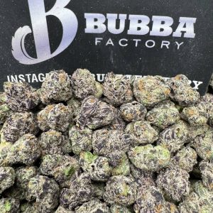 4 PACK BUNDLE - Exotic Smalls