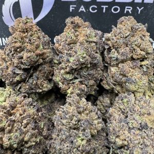 3 PACK BUNDLE - Cherrylato