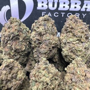 3 PACK BUNDLE - Pink Gelatti