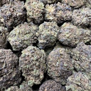 3 PACK BUNDLE - Berrylato